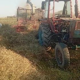 MTZ 80 1999