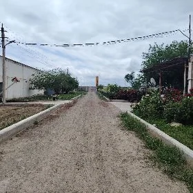 Towuk ferma