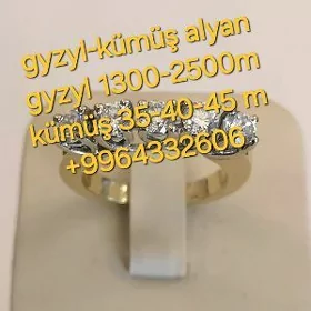 gyzyl kümüş alÿan