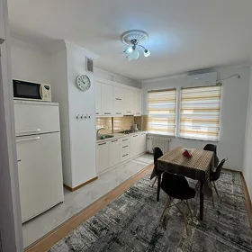 Arenda Mir 6    1 kom