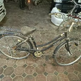 welesepet