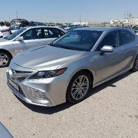 Toyota Camry 2021