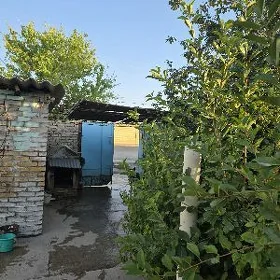 Satlyk katej jaý Şewçenko