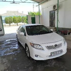 Toyota Corolla 2010