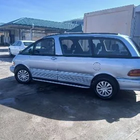 pirewa mator 2.4