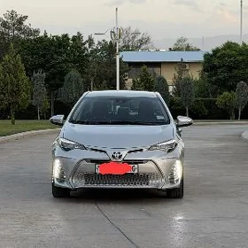Toyota Corolla 2017