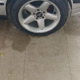 Snayzer R17