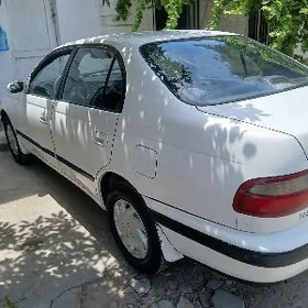Toyota Corona 1995