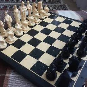 Шахматы