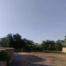Jay gokje