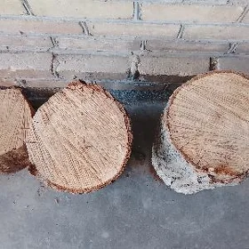 GÖŞ ÇAPGYÇ GÖŞ TÖÑÑE