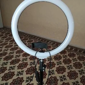 lampa
