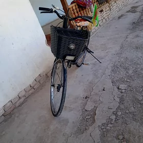 Dubayiski 26lyk