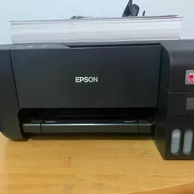 printer epson 3210
