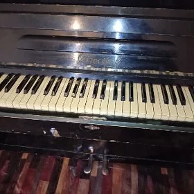 Pionina (Fortepiano)