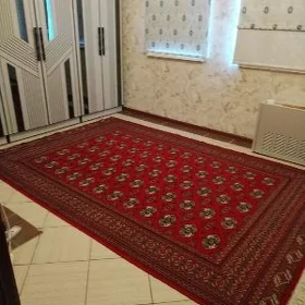 taslama koce