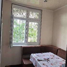 Arenda Mir7 Padwal
