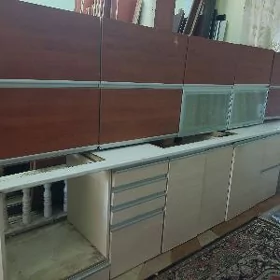 INI 4.50