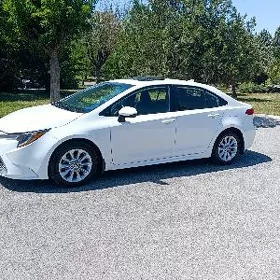 Toyota Corolla 2019