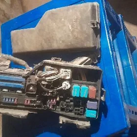 Elektrik