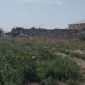 MELLEK yer tejen