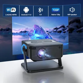 Proektor/Projector/Proyektor