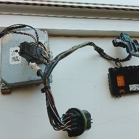 Kia Sarenta öñki çyrañ blogy