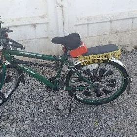 tigir 26lyk