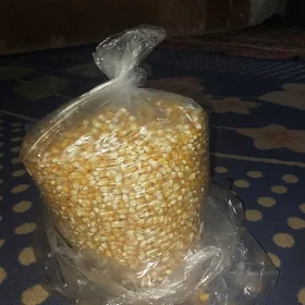 Patrak mekgesi