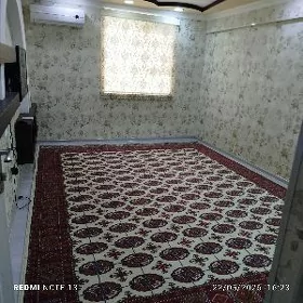 Satlyk jay 209 kv