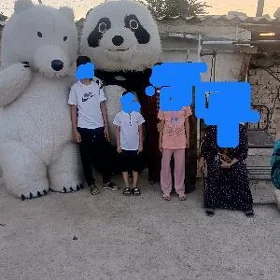miska panda
