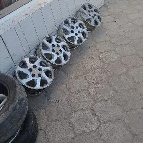 15 LISICGA DYSGA