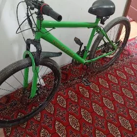 Turkmenistan tigir