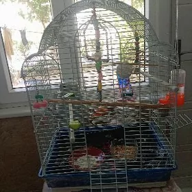 Клетка для попугаев