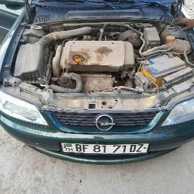 1.6 yumurtga mator arassa