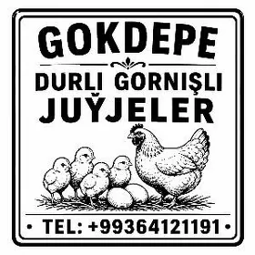 juyje jersi