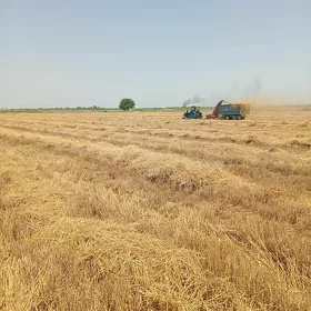 MTZ T-28 1999
