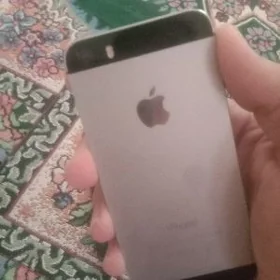 Iphone5s we flip prastoy