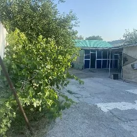 Satlyk jaỳlar