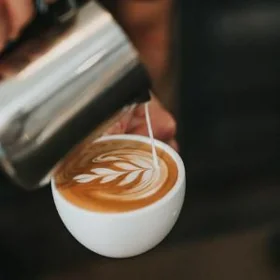 barista gerek