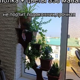 полка для цветов
