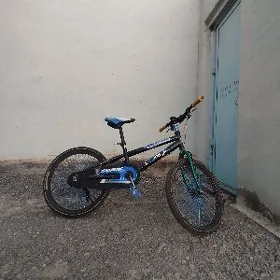 Tigir xioaming