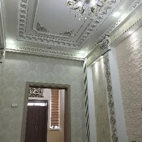 Taze zaman kateş