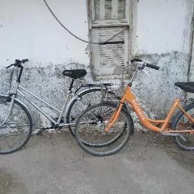 Tigirler