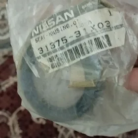 nissan salnik