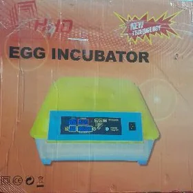 incubator