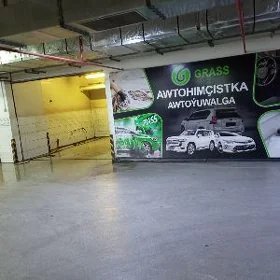 Moysik