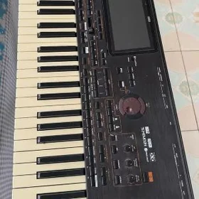 KORG PA-4 ( 76 )