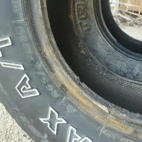 pakrişka r15