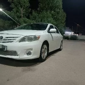 Toyota Corolla 2010